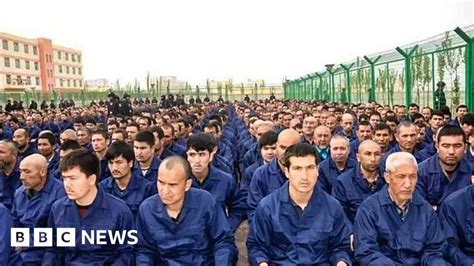 who are weegers in china